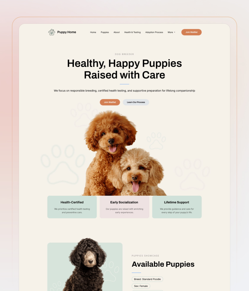 Website template 2