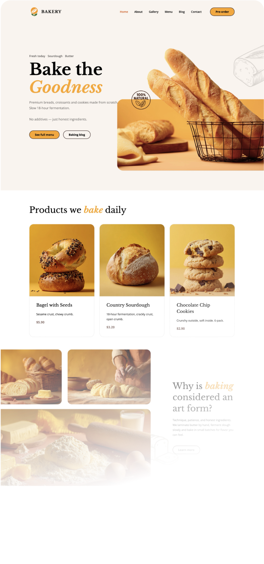 Website design no code